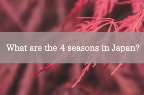 What are the 4 seasons in Japan?