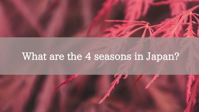 What are the 4 seasons in Japan?