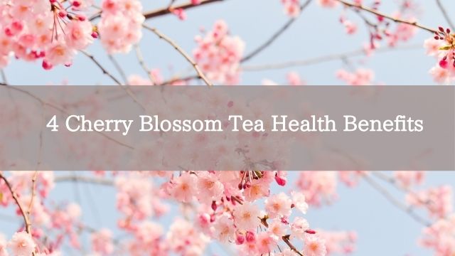 4 Cherry Blossom Tea Health Benefits