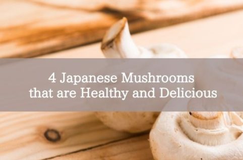 4 Japanese Mushrooms that are Healthy and Delicious