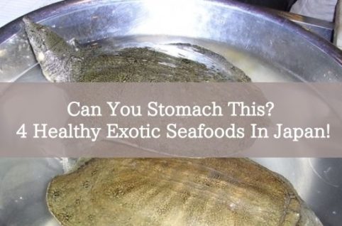Can You Stomach This? 4 Healthy Exotic Seafoods In Japan!