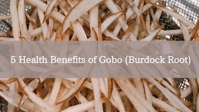 5 Health Benefits of Gobo (Burdock Root)
