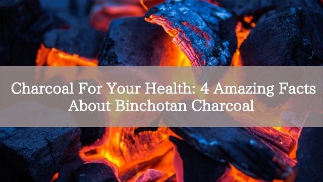 Charcoal For Your Health: 4 Amazing Facts About Binchotan Charcoal