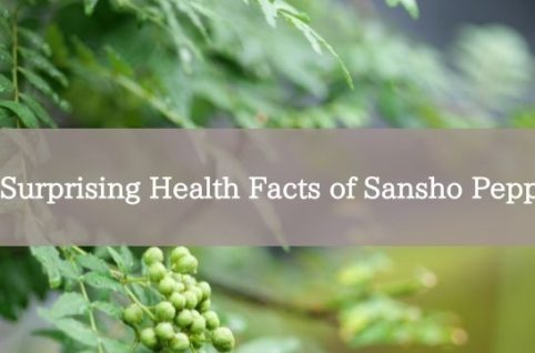 4 Surprising Health Facts of Sansho Pepper