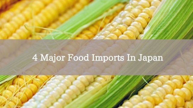4 Major Food Imports In Japan