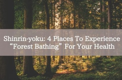 Shinrin-yoku: 4 Places To Experience “Forest Bathing” For Your Health
