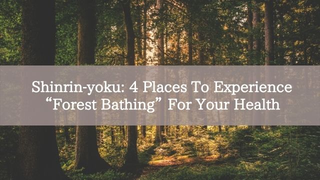 Shinrin-yoku: 4 Places To Experience “Forest Bathing” For Your Health