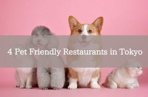 4 Pet Friendly Restaurants in Tokyo