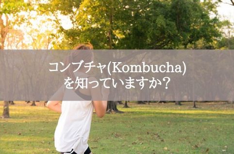 コンブチャ(Kombucha)を知っていますか？